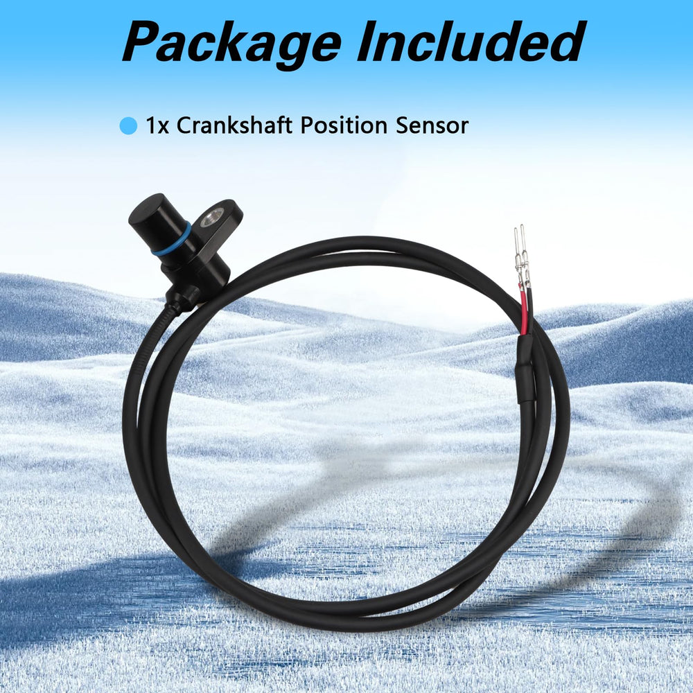 KPALAG packaging and included sensor photo confirming complete single-unit package