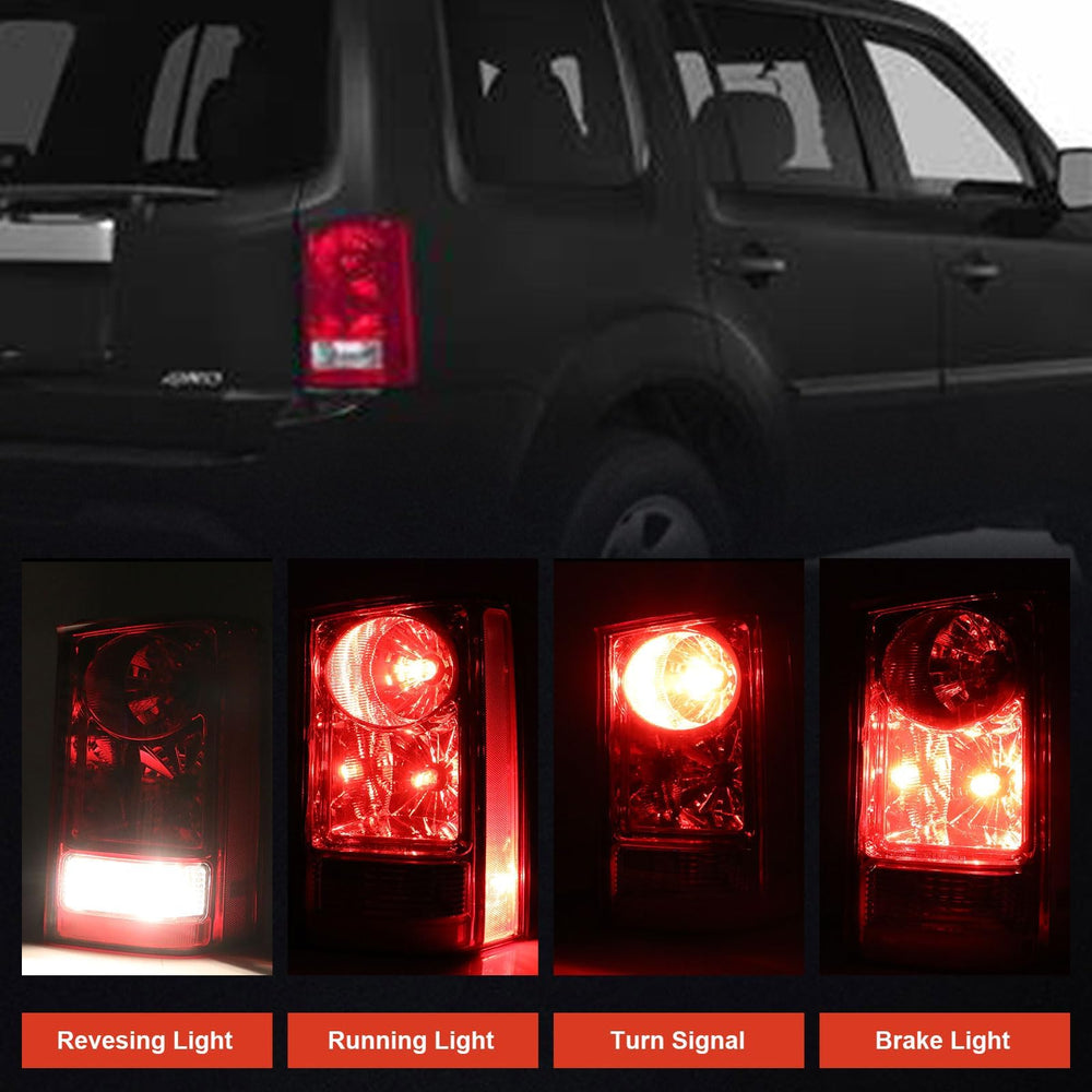 Lathsy tail light in packaging showing protected shipping and replacement guarantee