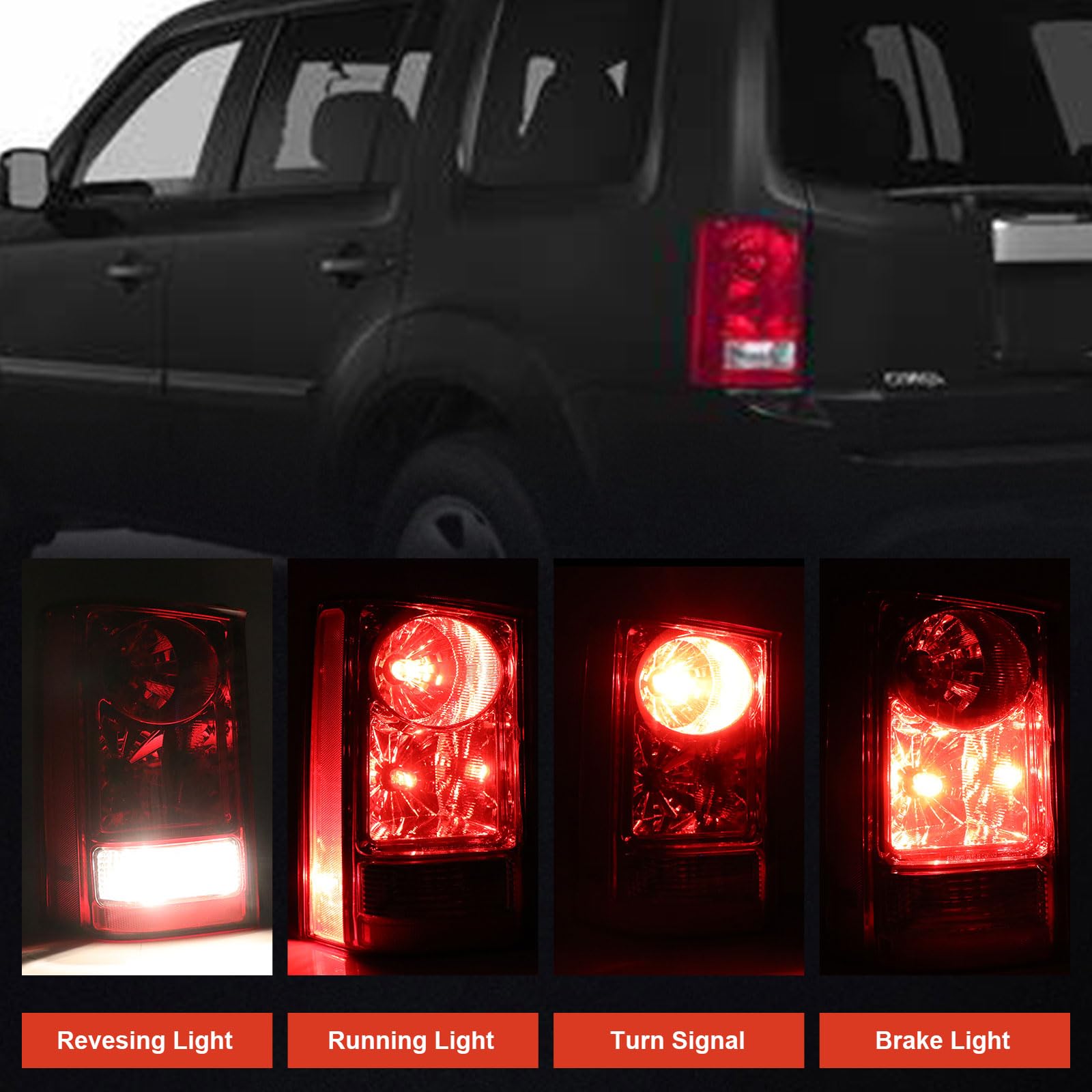 Lathsy tail light held in hand to show size and compatibility benefit