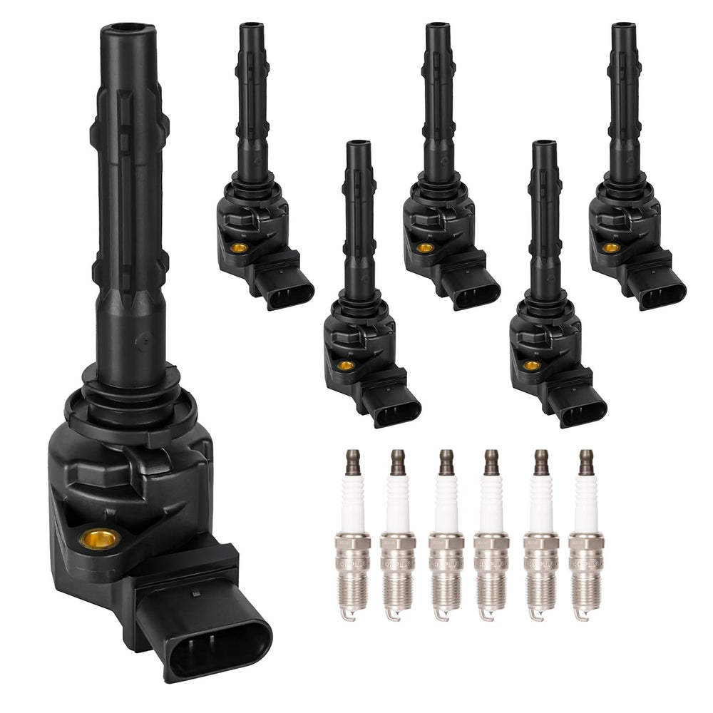 LCWRGS front packaging showing six coils and plugs for clear fitment