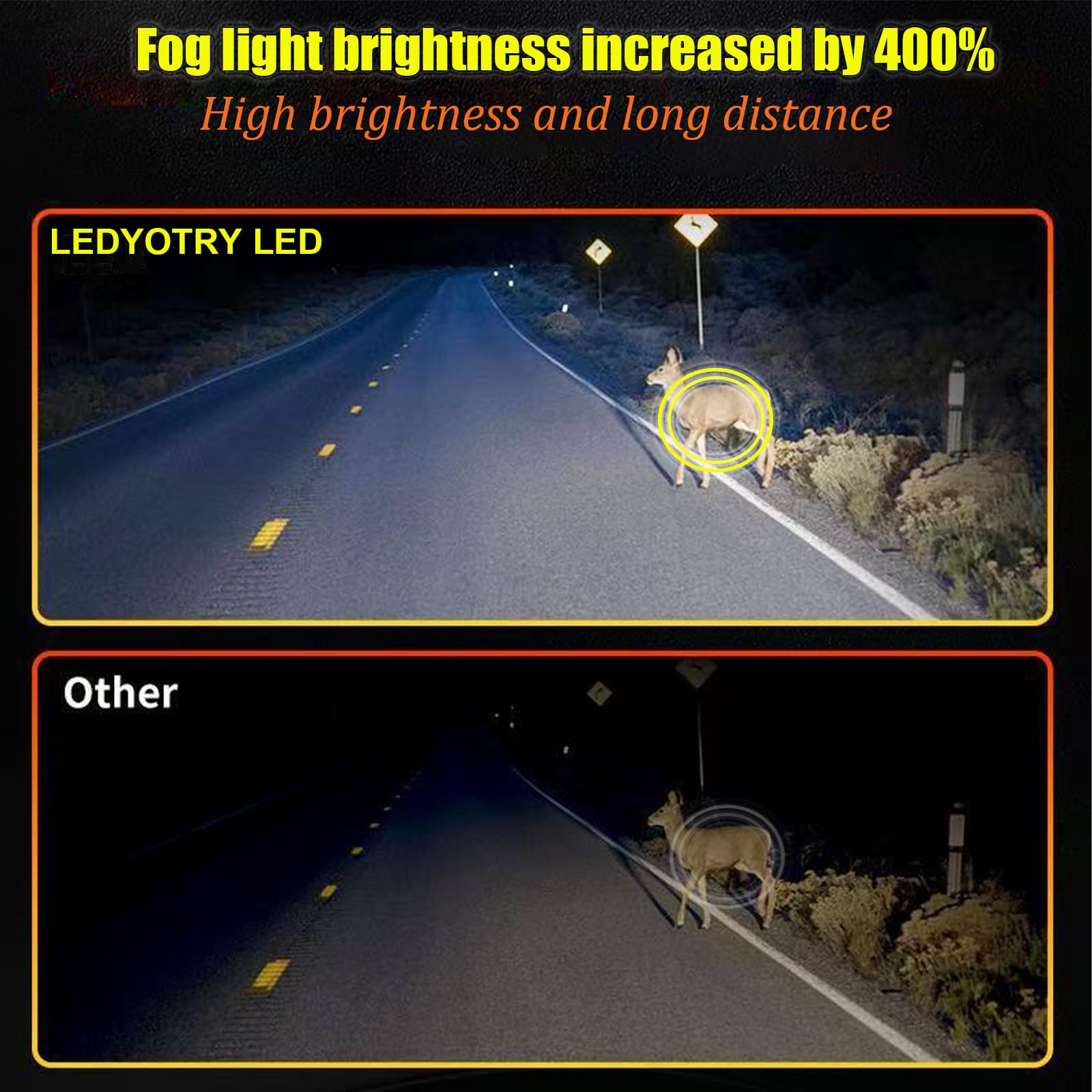 LEDYOTRY installed in vehicle fog light demonstrating improved road visibility