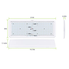 Leisure LED close-up of 192 2835 SMD LEDs showing uniform light source benefit