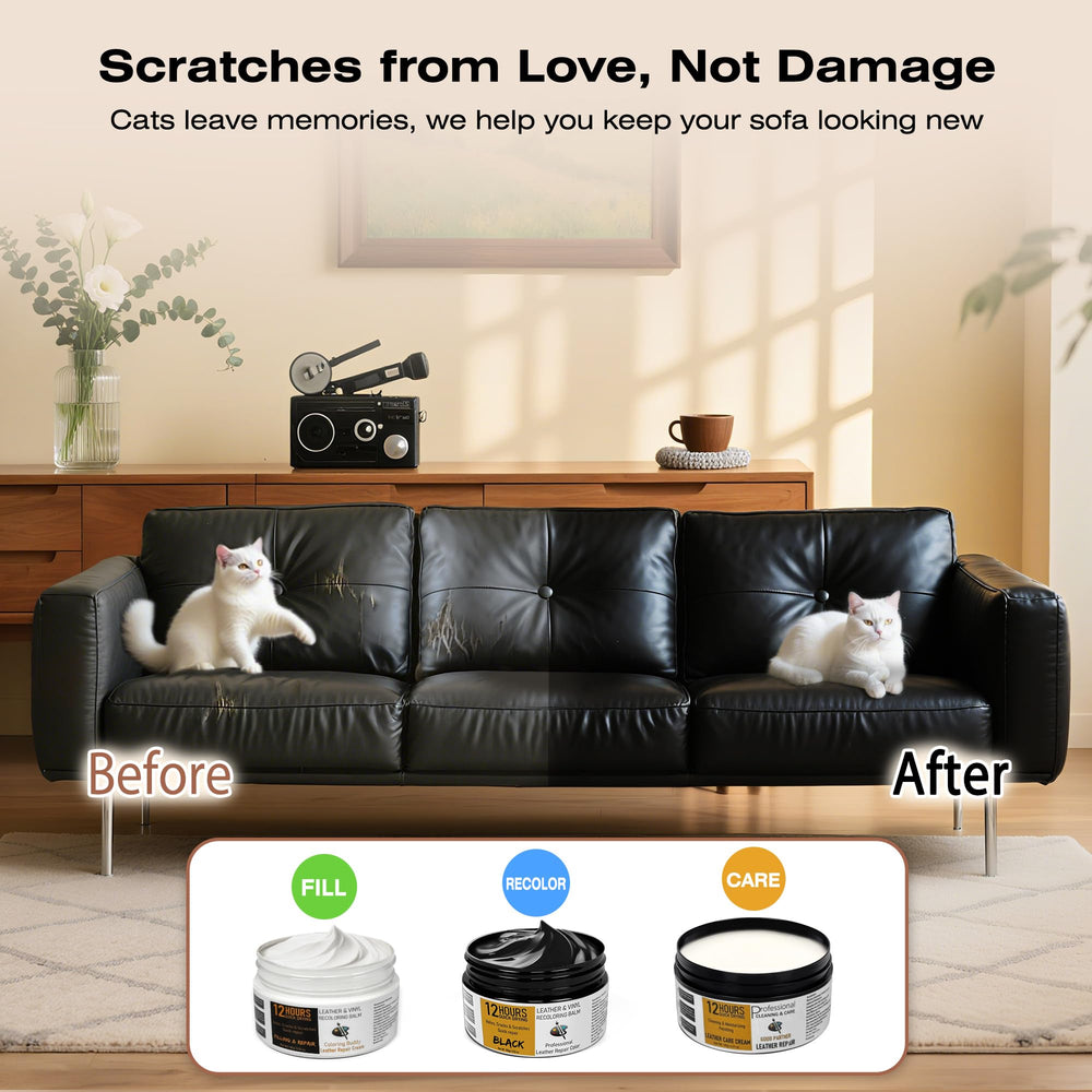Liccyy size comparison next to a credit card highlighting generous jar volumes