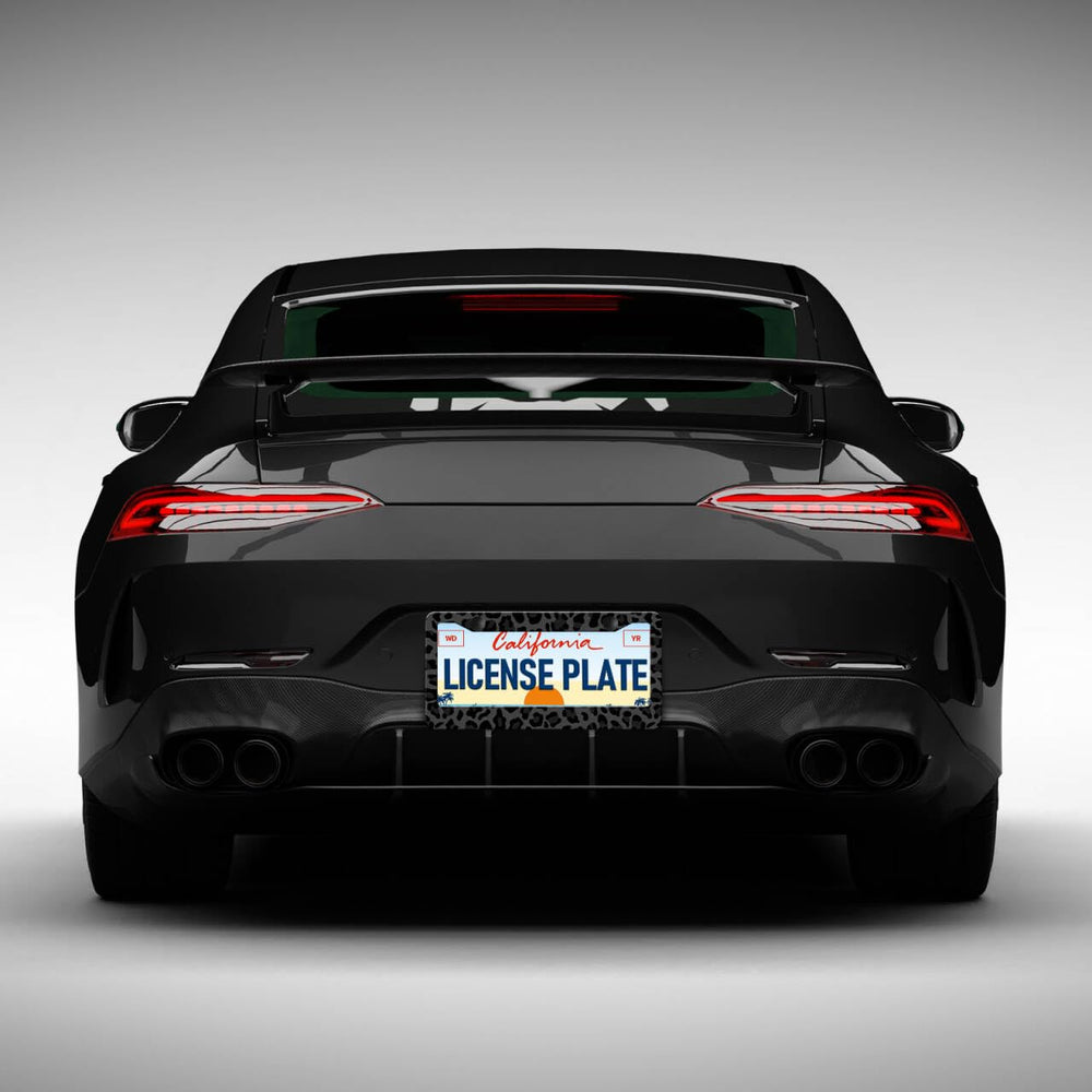 LIN KANG frame beside a 12" x 6" license plate for scale, confirms standard North American fit