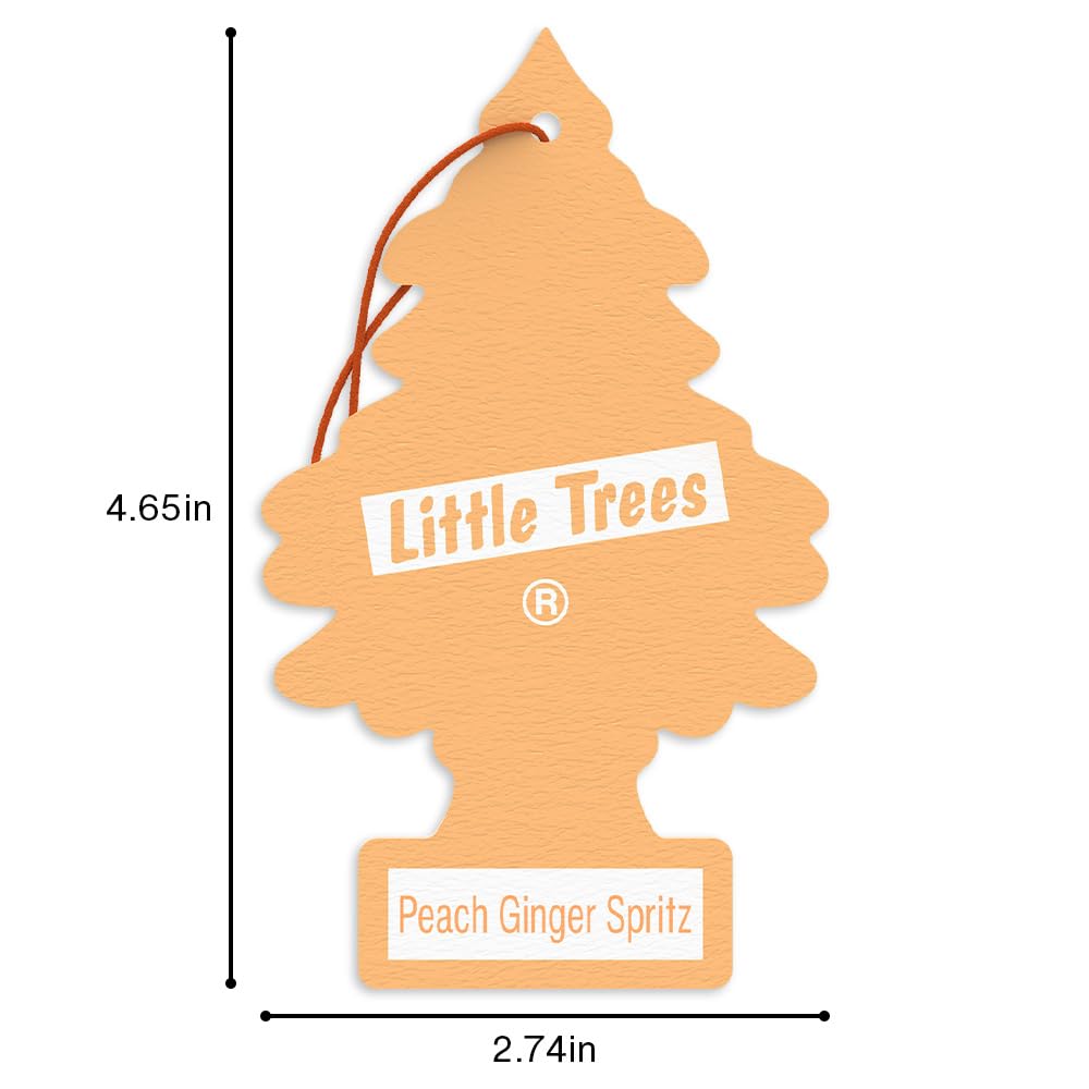 LITTLE TREES label detail showing fragrance name and usage directions