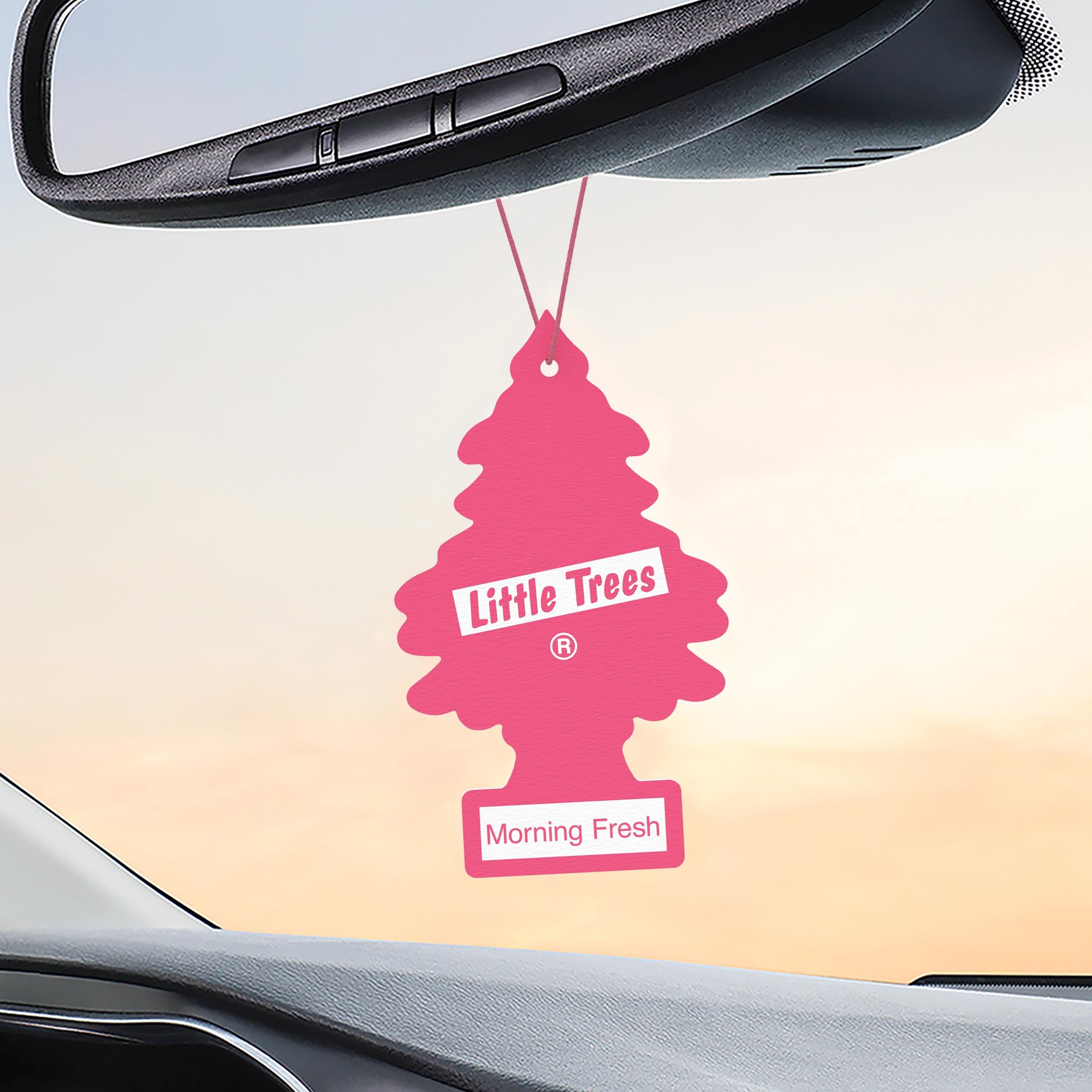 LITTLE TREES hung in a closet delivering odor control and fresh clothes benefit