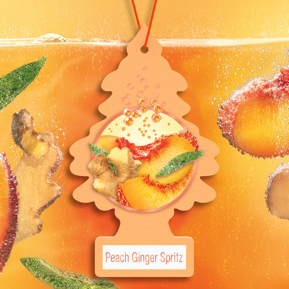 LITTLE TREES scent infographic illustrating peach and ginger brightness