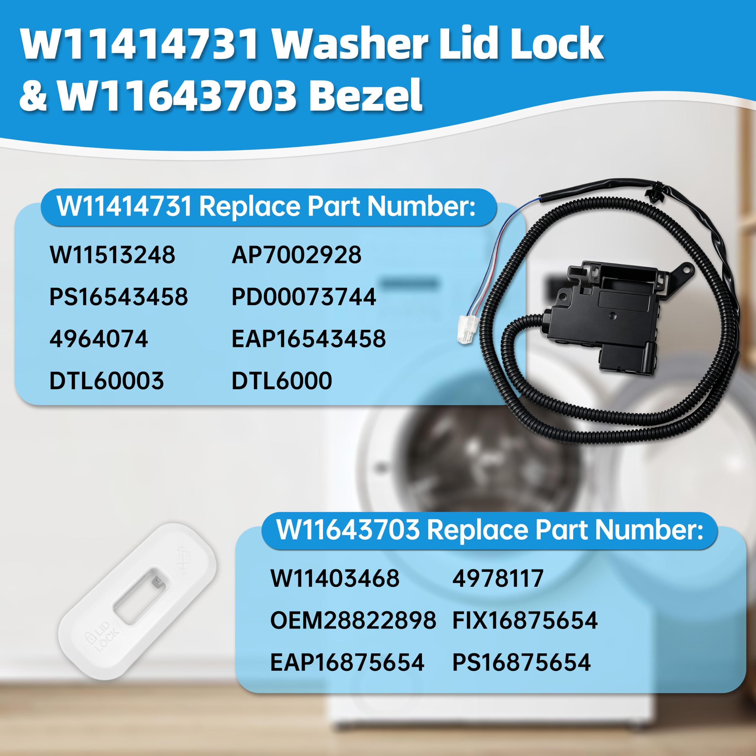 LOTMOVE W11643703 bezel close-up highlighting precise fit and clean finish