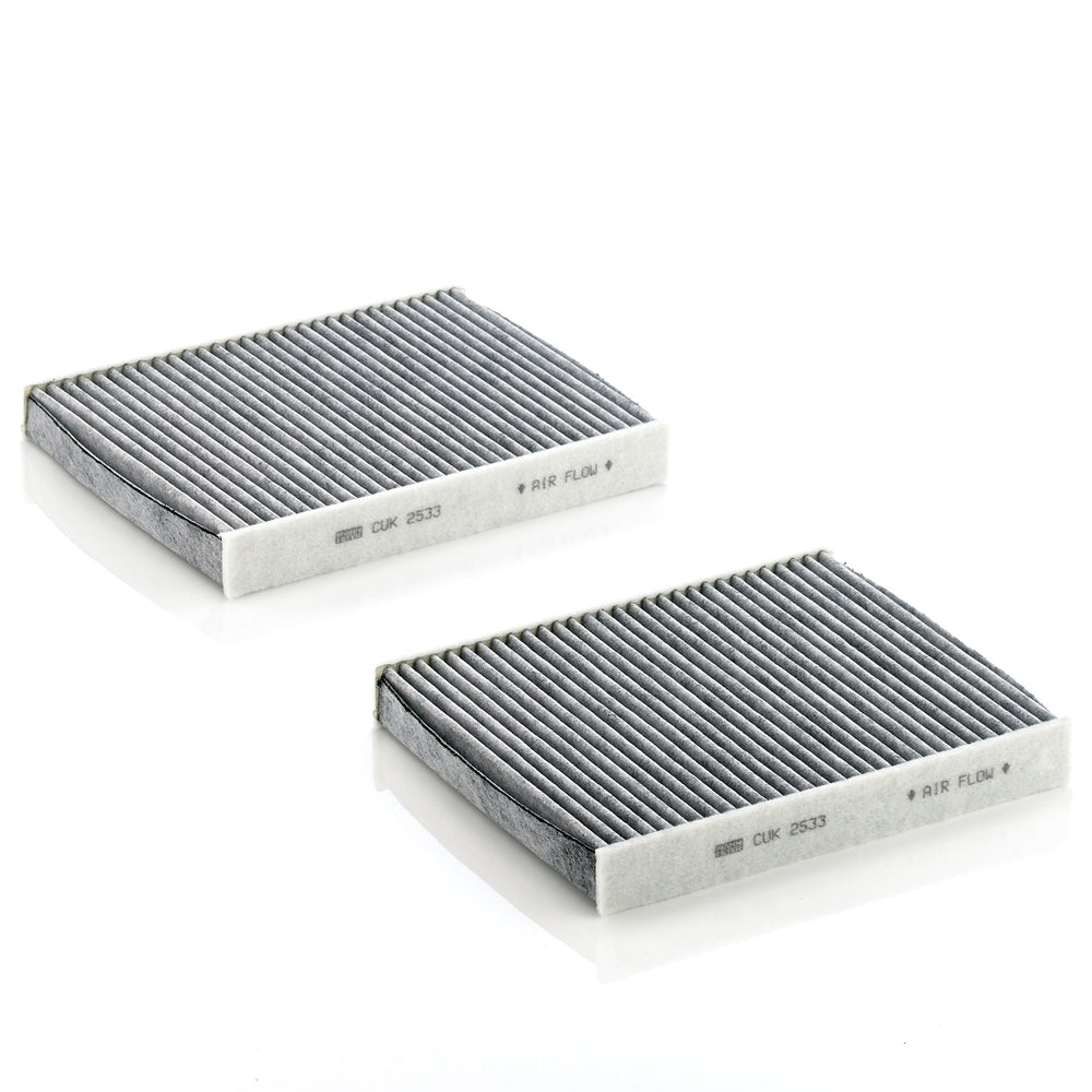 Mann Filter charcoal layer closeup showing activated carbon pores for gas adsorption