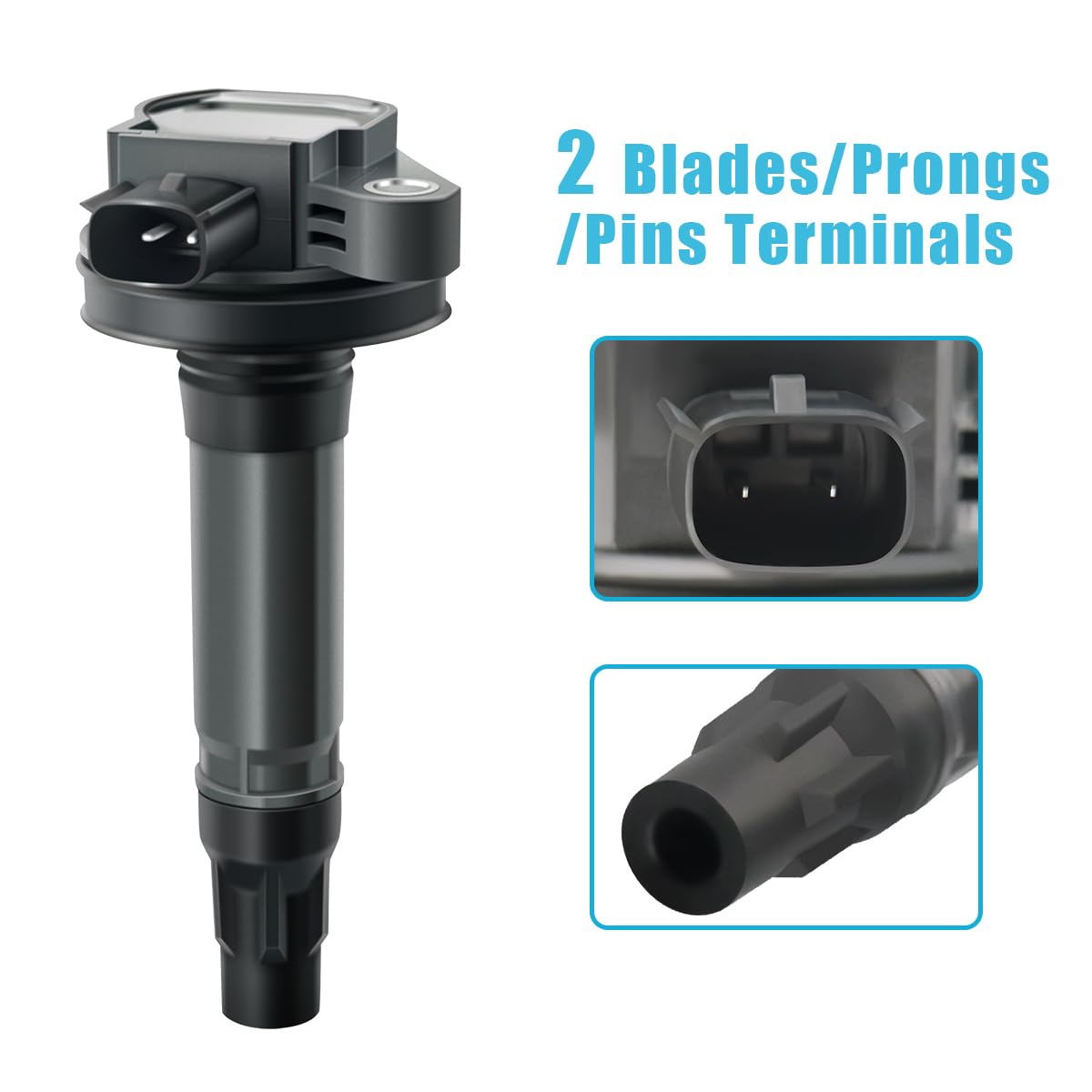 MAS coil terminal detail highlighting 2-pin connection for correct fit