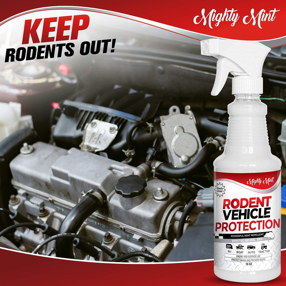 Mighty Mint sprayed in glovebox to deter rodents and keep interior safe