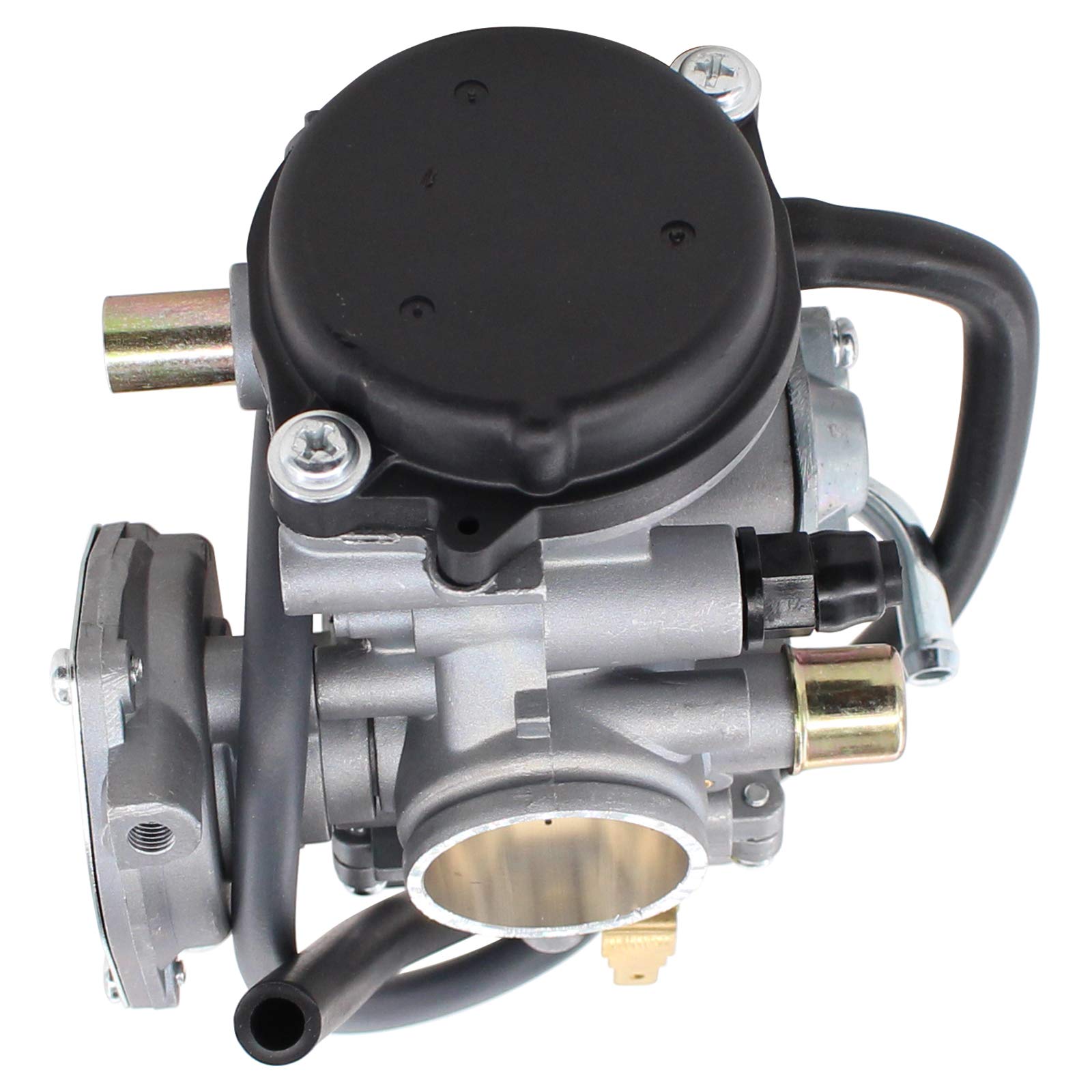 MOTOKU carburetor next to ruler scale showing compact size for correct fitment