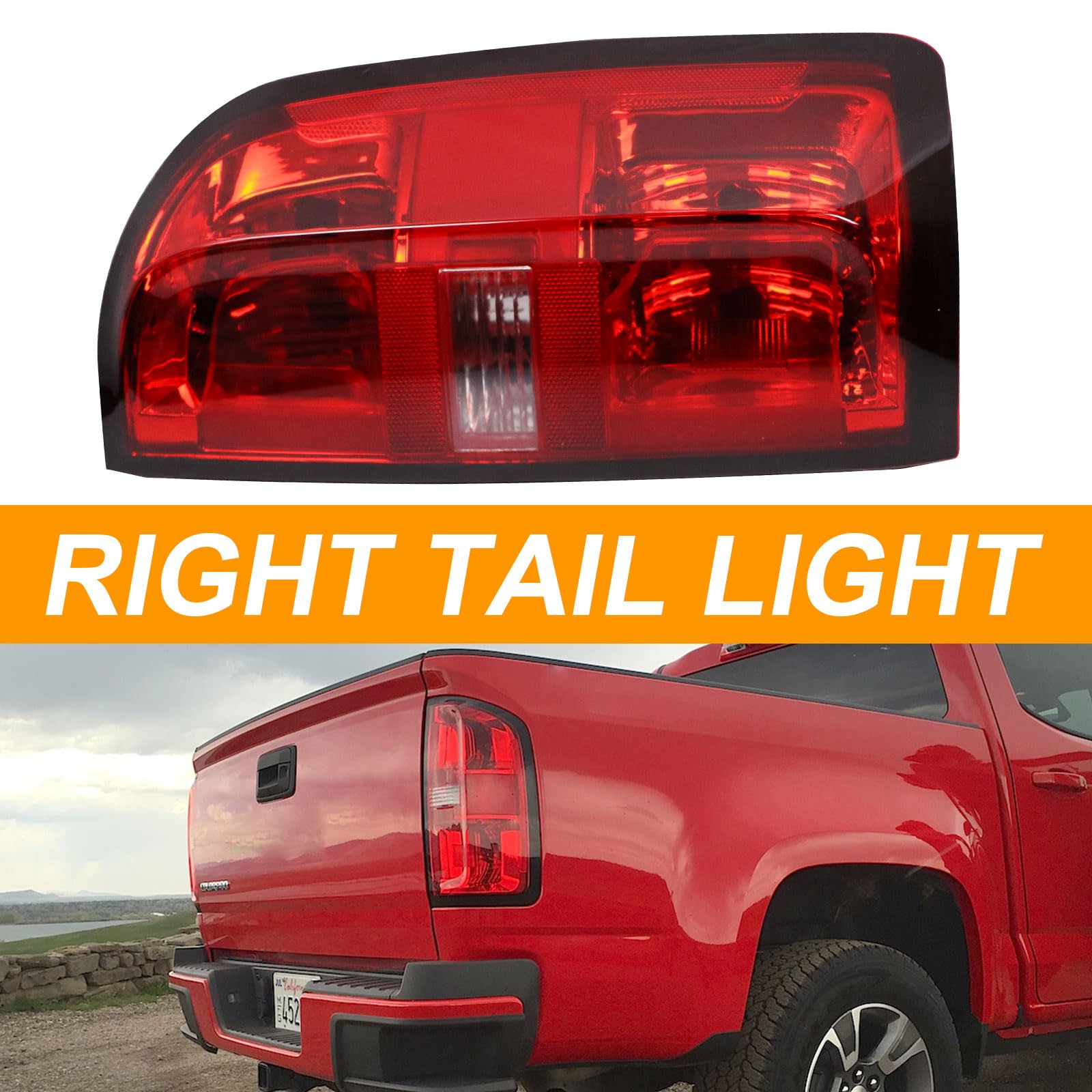 Nakuuly tail light beside ruler for scale showing compact correct fit benefit