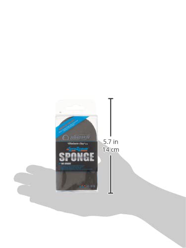 Nanoskin AutoScrub AS-019 used on car door demonstrating smooth glide and showroom-ready finish