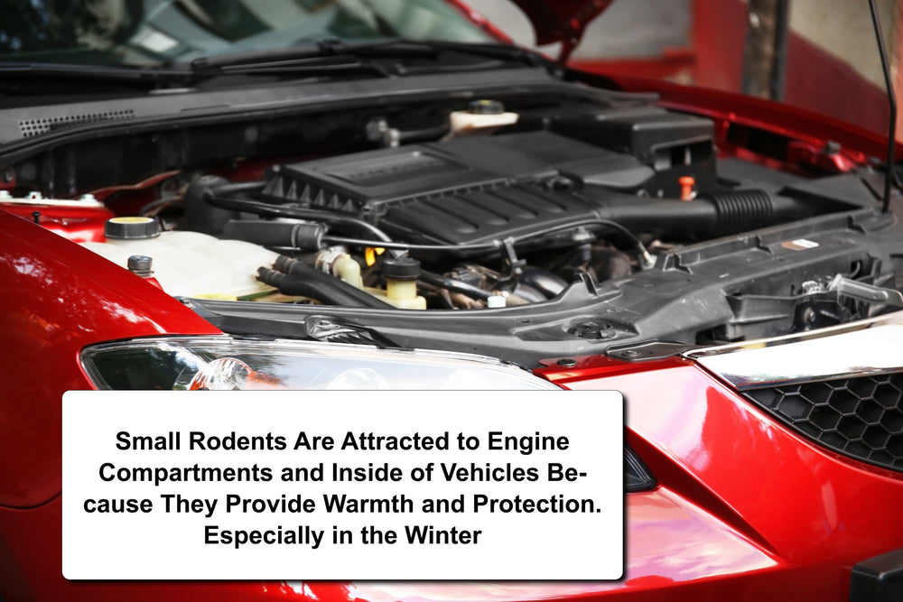 Natural Armor being applied inside an engine bay to prevent damage