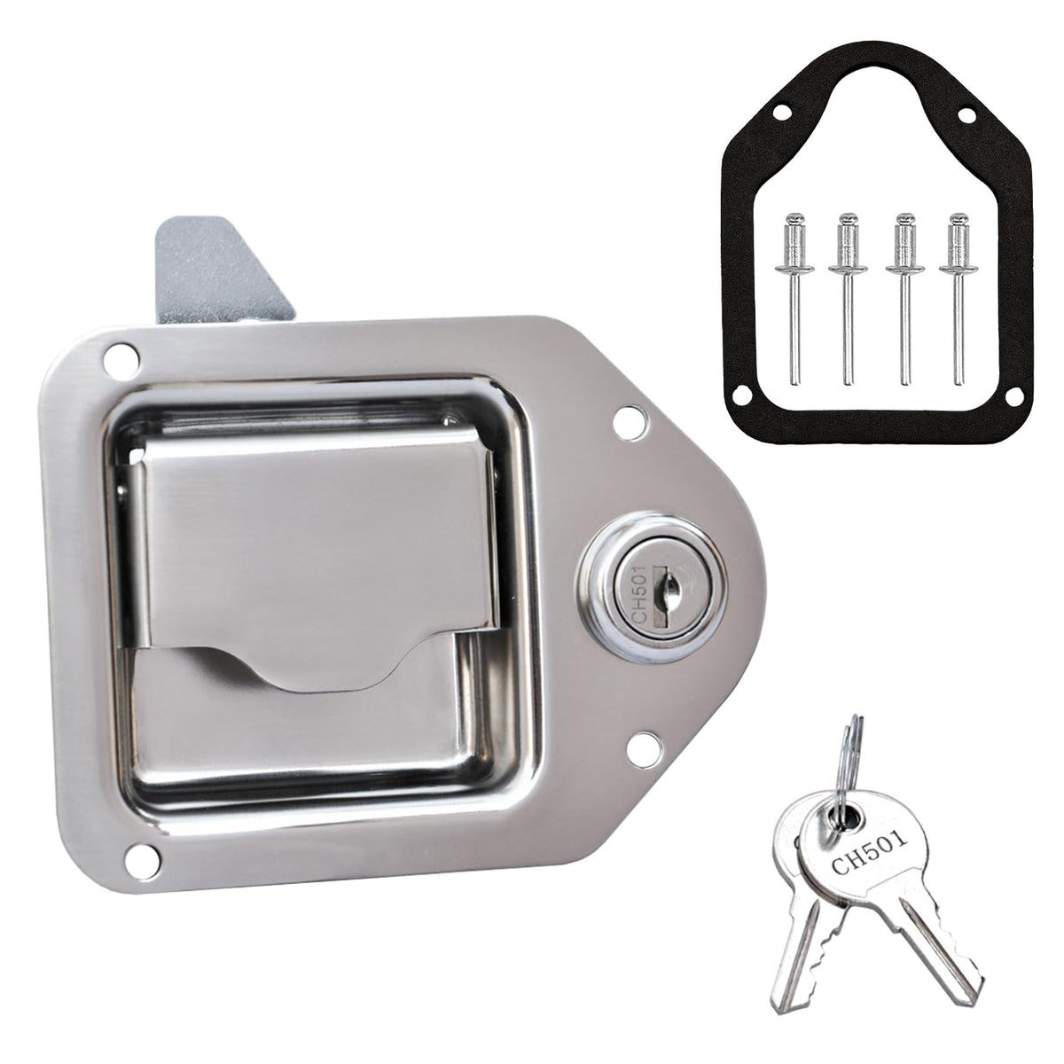 Newace paddle latch front plate showing corrosion-resistant finish and secure closure