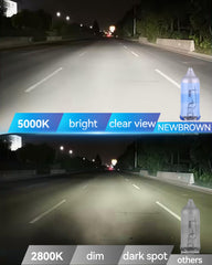 NEWBROWN H11 single bulb close-up highlighting bright 5000K output