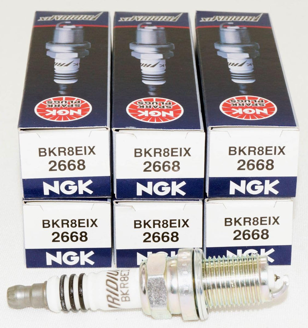 NGK 2668 front packaging showing six plugs and model label for easy identification