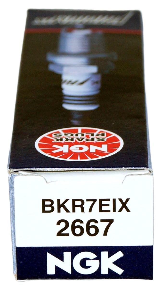 NGK four-pack alongside ruler for scale showing 19mm reach and easy verification