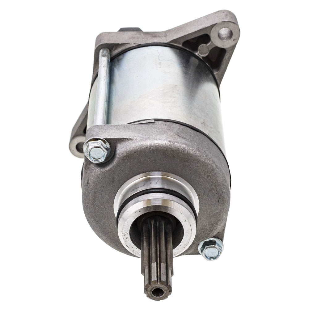 NICHE starter close-up of nine-tooth pinion showing precise engagement benefit