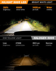 Nilight beam pattern on road demonstrating extended visibility