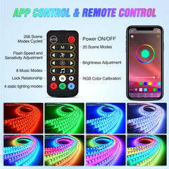 Nilight installed underbody at night with vivid color and visual impact