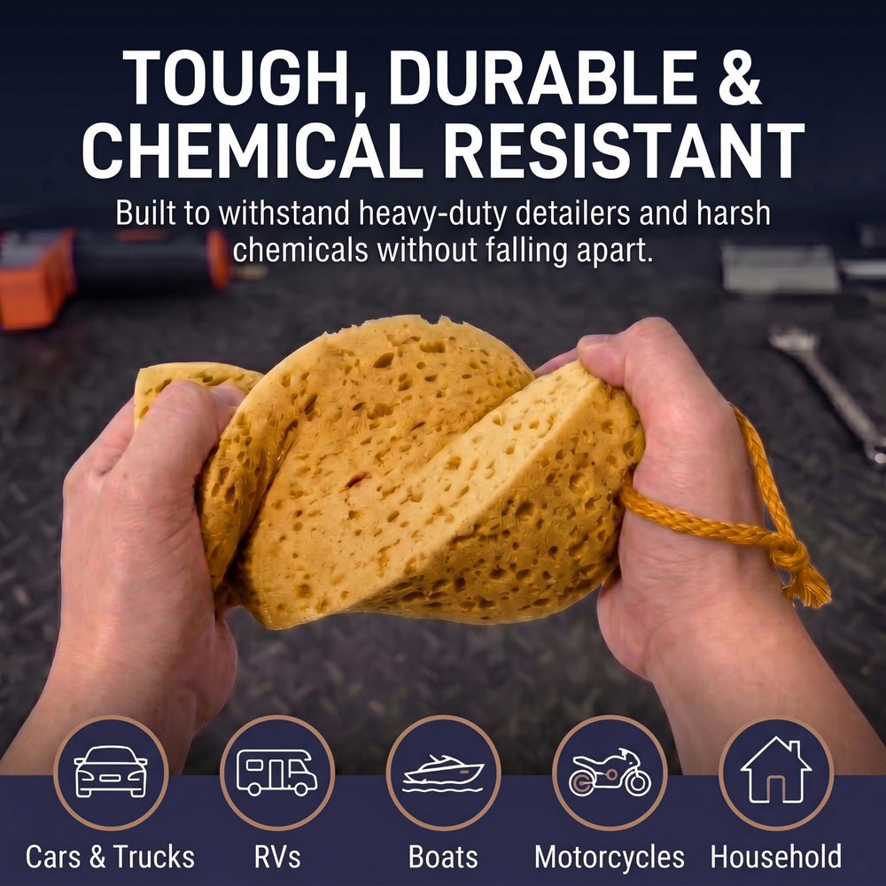 NOVARCHIVE sponge edge texture illustrating dense, durable foam construction