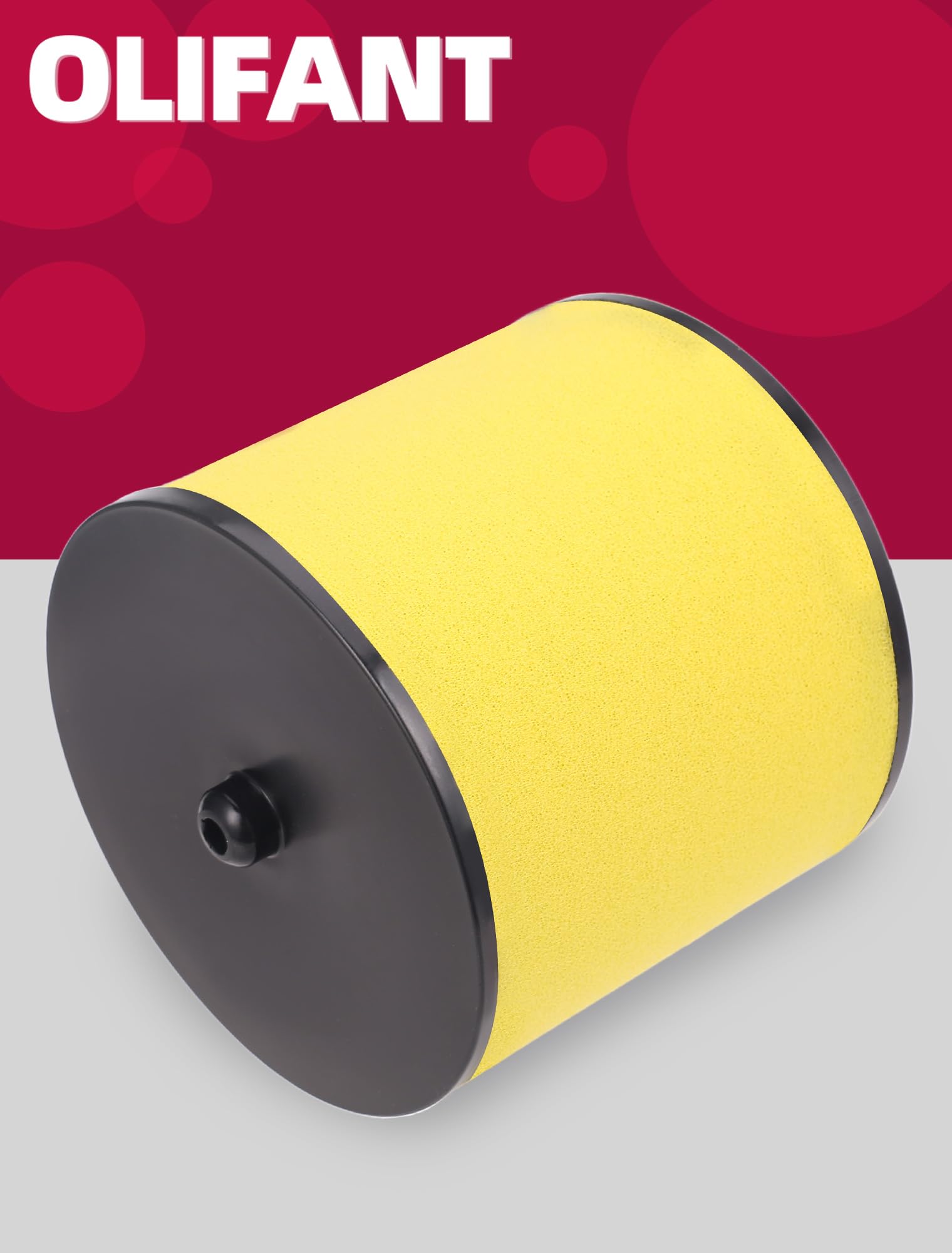 OLIFANT two filters packaged together, provides immediate spare for maintenance