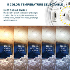 Parmida installed in an RV ceiling demonstrating bright, even cabin lighting benefit