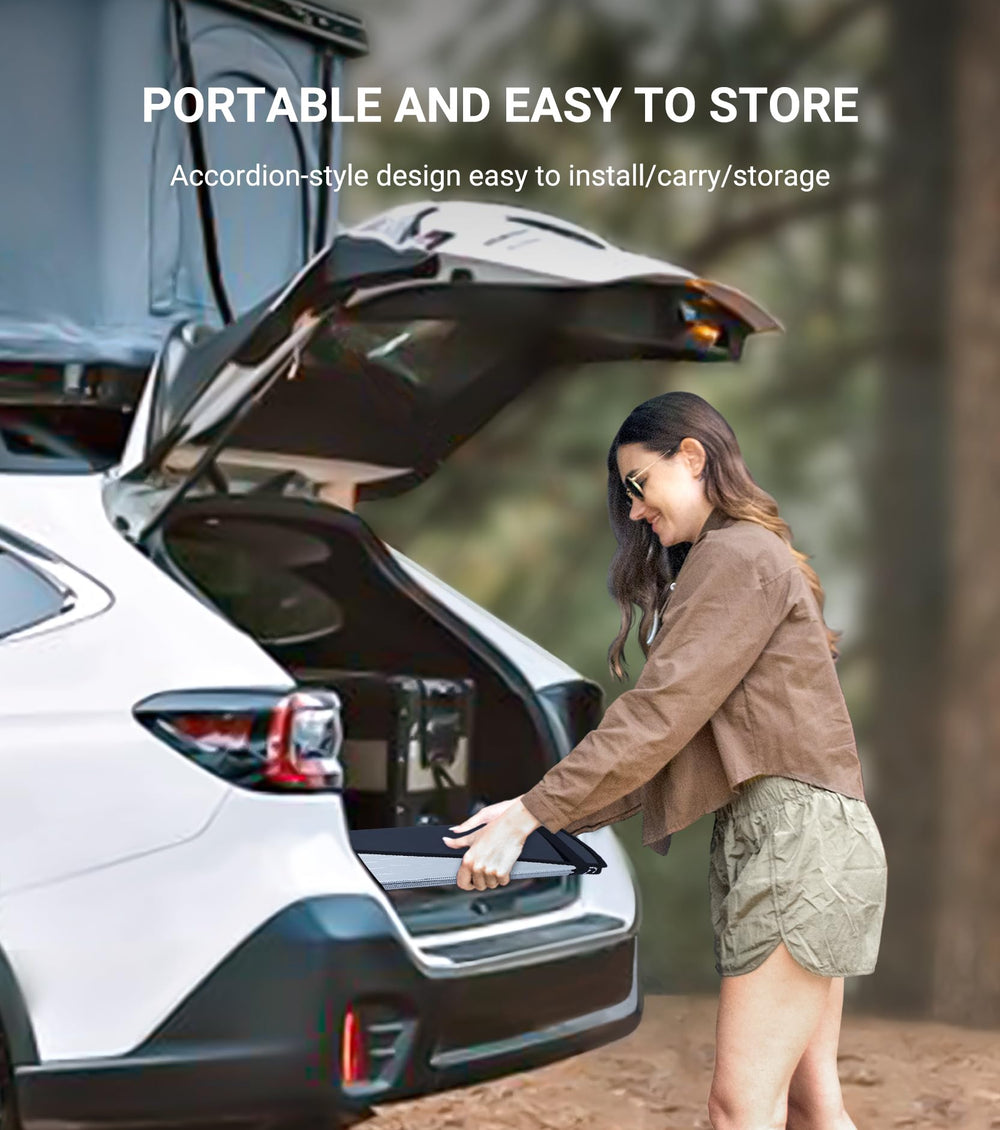 Pigenius AstraGuard in parked Lexus IS lifestyle shot reducing cabin heat when outdoors