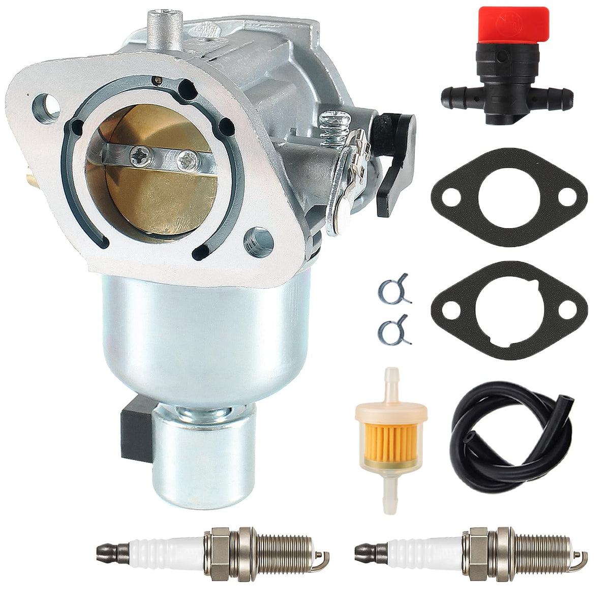 Pro Chaser carburetor front view showing mounting flanges and ports for easy identification
