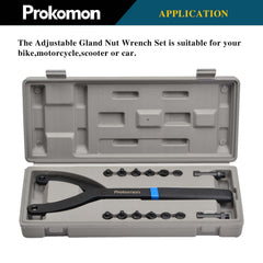 Prokomon open case organized to protect pins and simplify transport