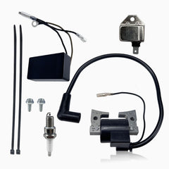 QINLANAP front packaging showing complete ignition kit and contents for quick replacement
