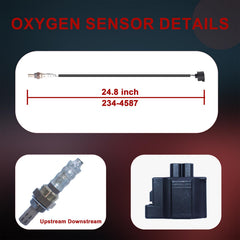 QIYBONE sensor tip detail with protective shield, accurate oxygen sensing performance