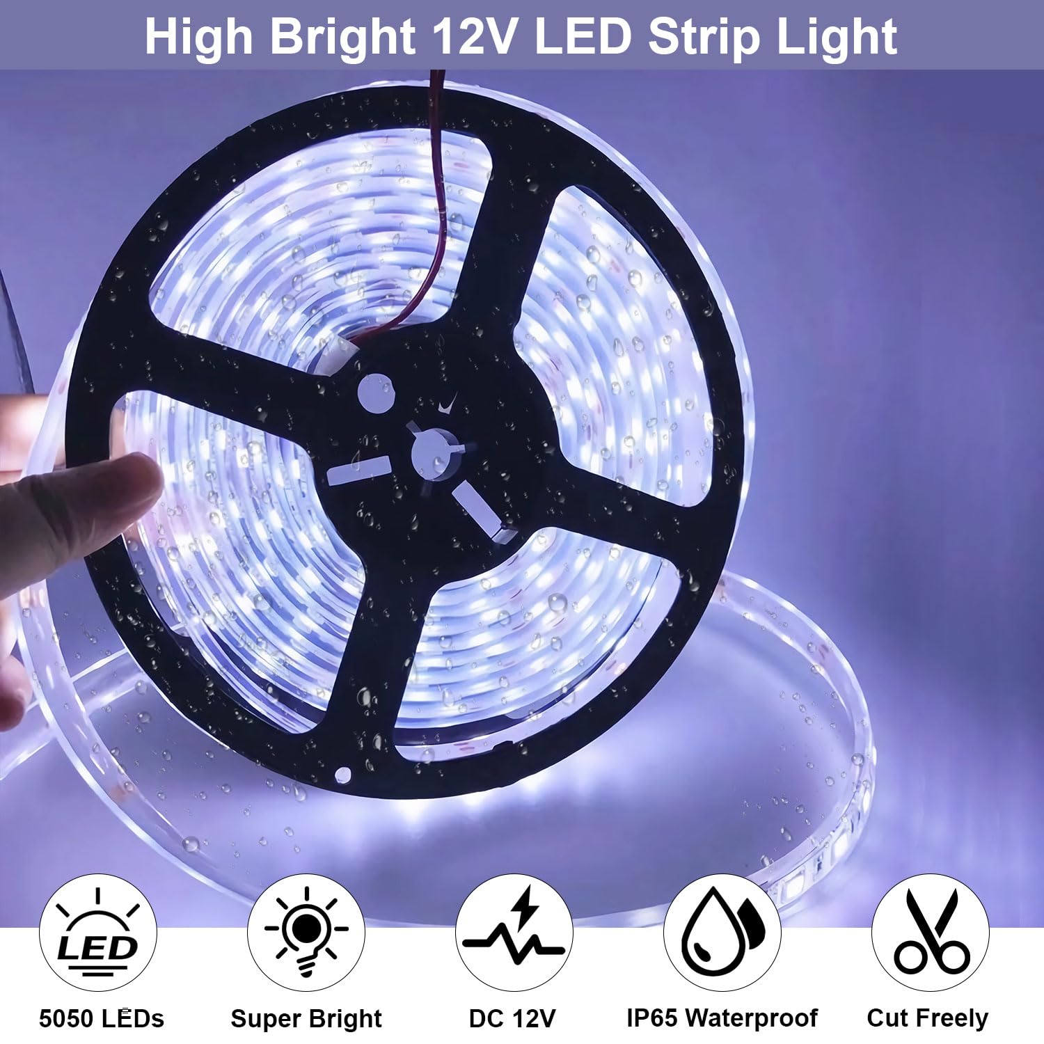 QVEVDACAR close-up of white LEDs demonstrating bright, even illumination