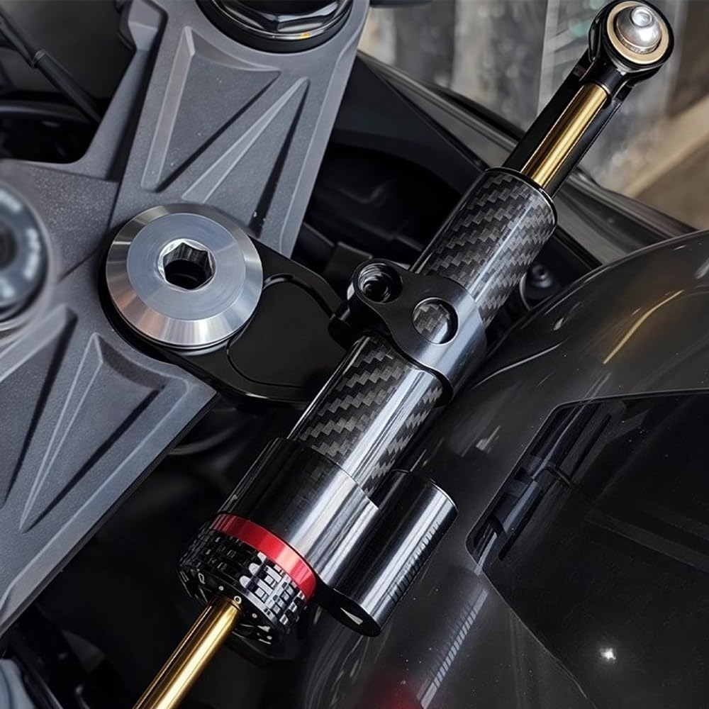 QWDRHen side profile piston detail showing precision machining and consistent damping