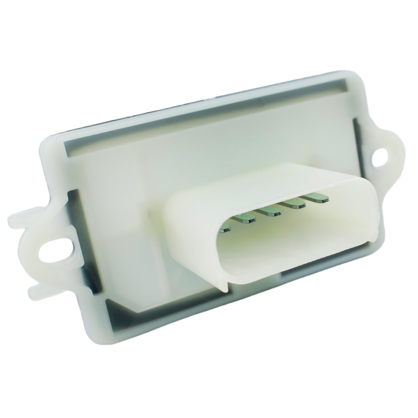 Ruizure boxed packaging with label, provides secure shipping and identification
