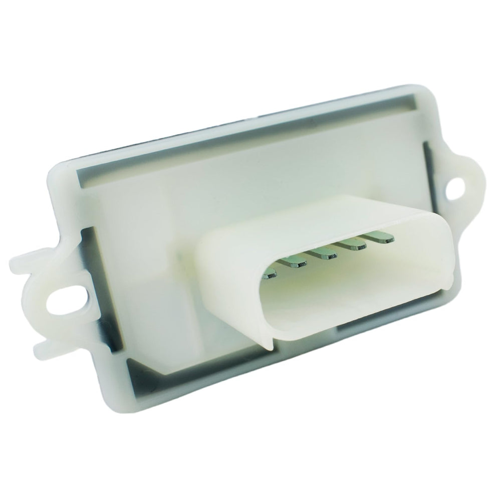 Ruizure boxed packaging with label, provides secure shipping and identification
