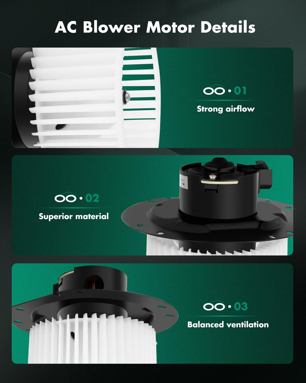 SCITOO motor connector detail showing female two-terminal plug for correct fit