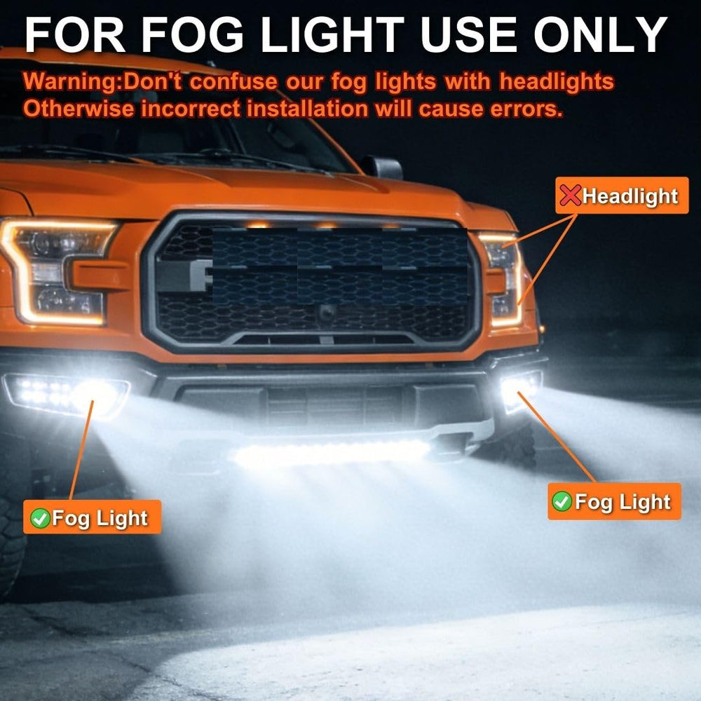SEALIGHT nighttime beam on road displaying bright, controlled illumination and visibility