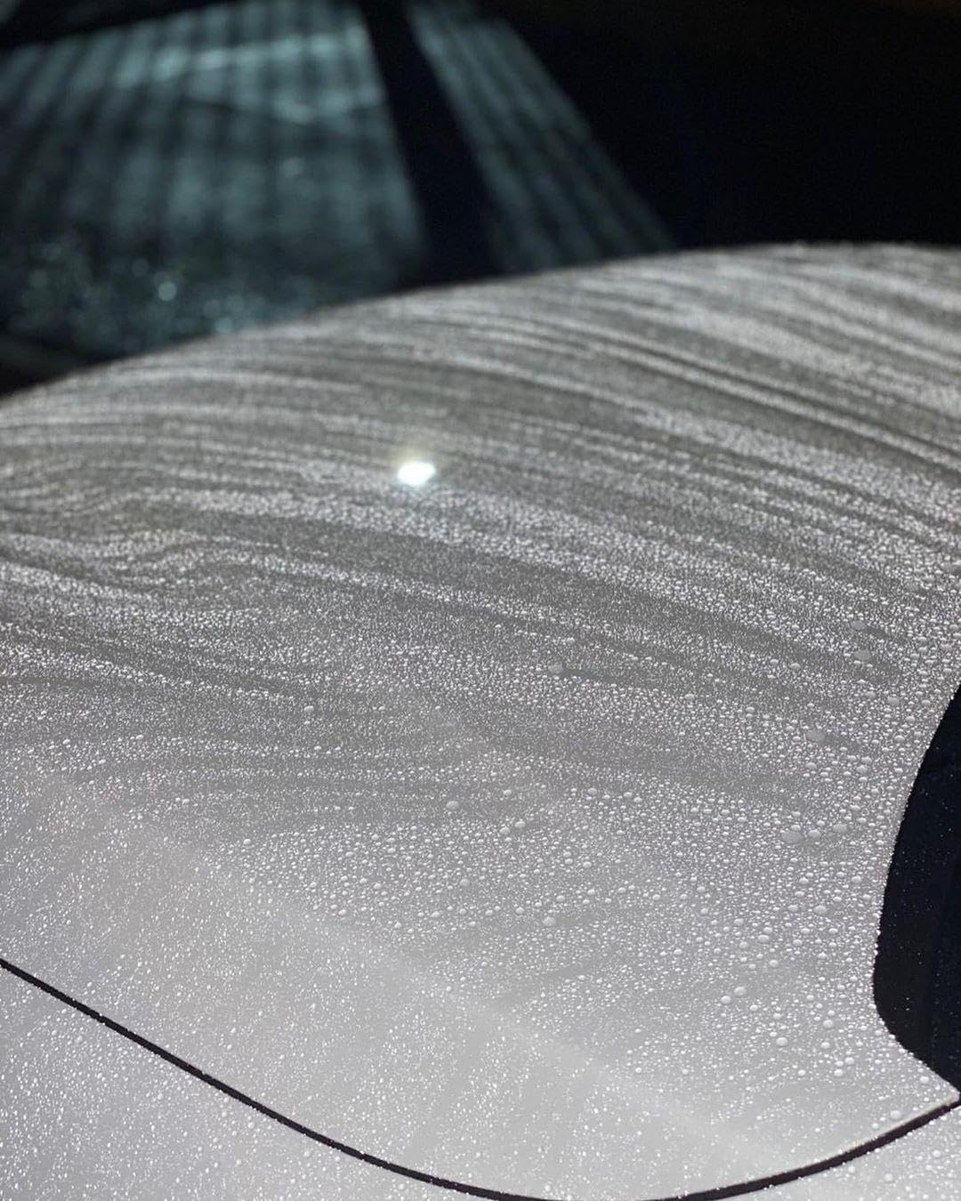 SOFT99 treated light-colored car in driveway showing glossy finished appearance