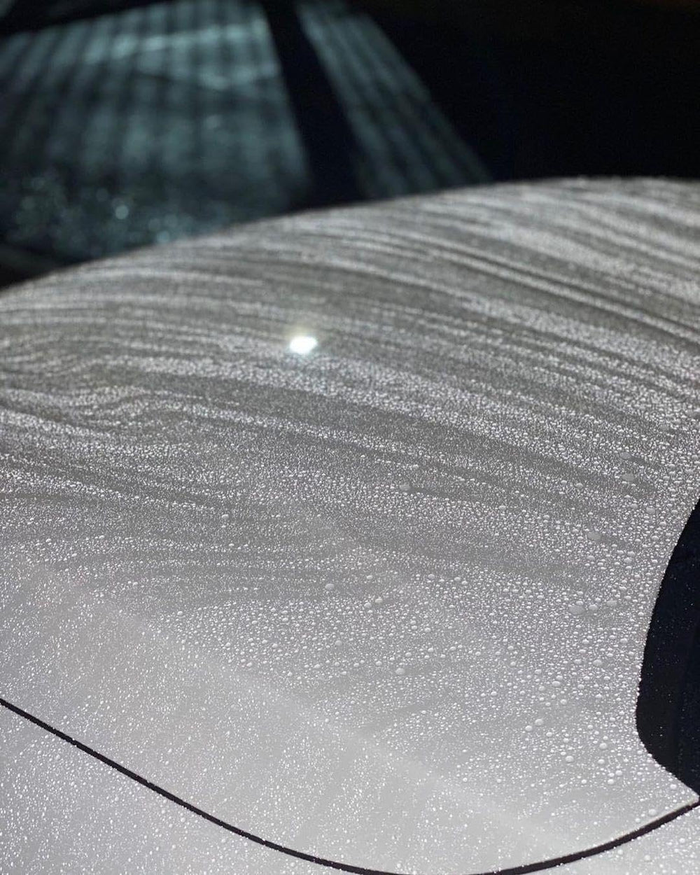 SOFT99 treated light-colored car in driveway showing glossy finished appearance