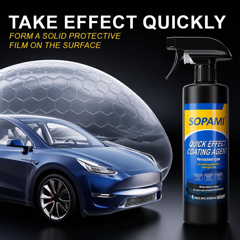 SOPAMI finished car in driveway showing showroom gloss and curb appeal
