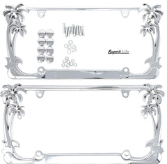 Superb lnf front view chrome frame showing palm design and sleek appearance