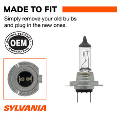 SYLVANIA H7 next to ruler showing compact size and fitment clarity