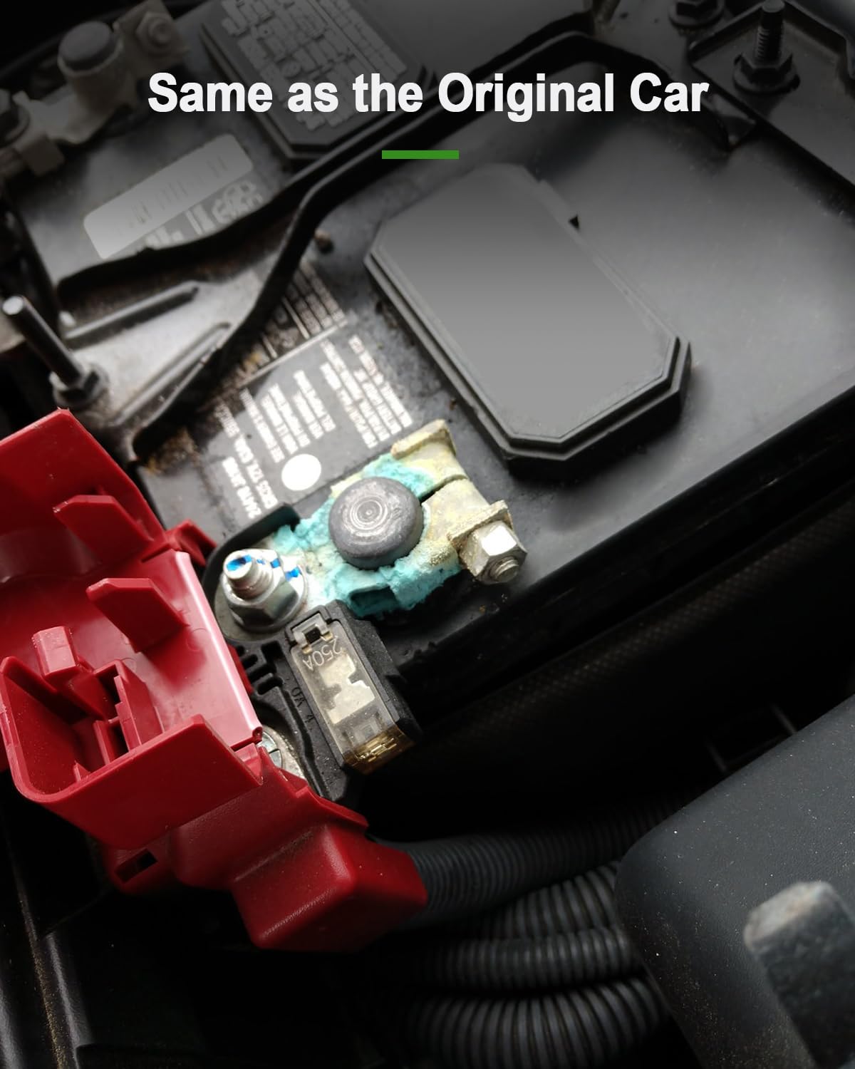 Tavaski installed under hood in Nissan showing correct scale and fit benefit
