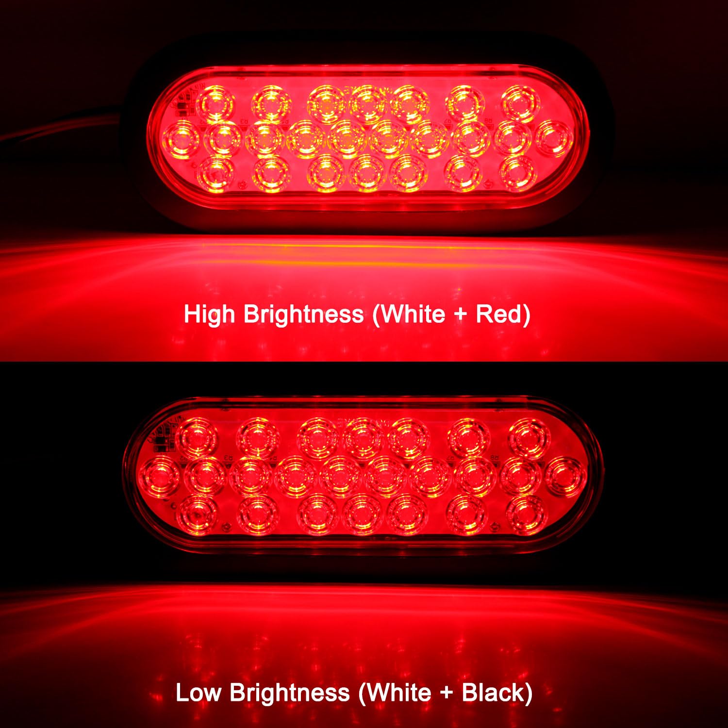 Traberm close-up of clear lens and 24 SMD LEDs revealing build quality