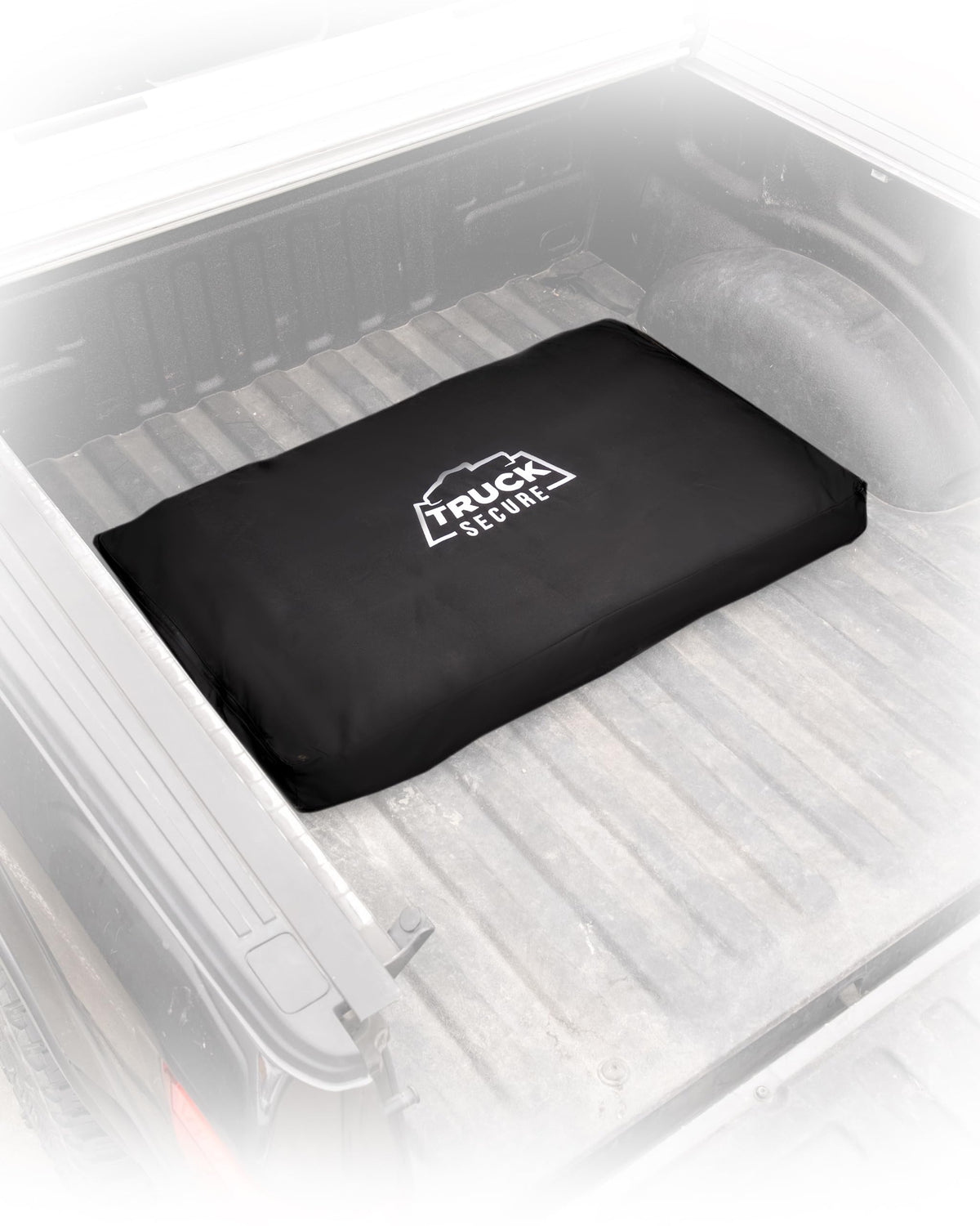 Truck Secure front view showing organizer protecting weights and adding traction