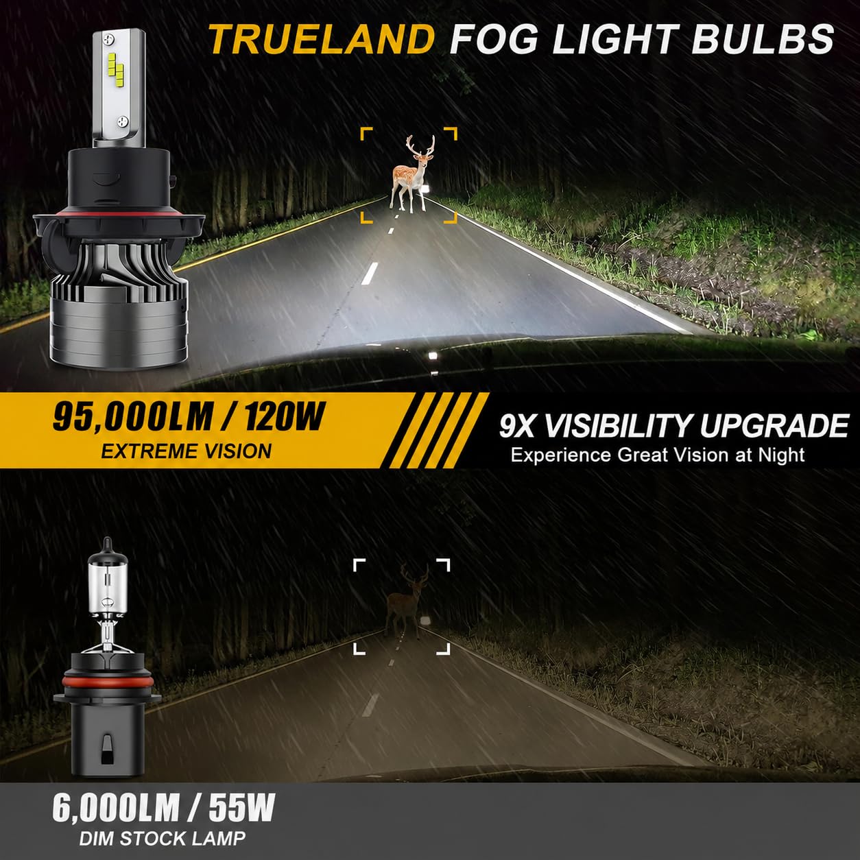 TRUELAND close-up of LED diodes highlighting crisp light output and clarity
