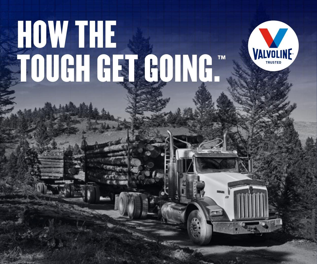 Cummins endorsement badge on Valvoline Premium Blue packaging showing trusted compatibility benefit